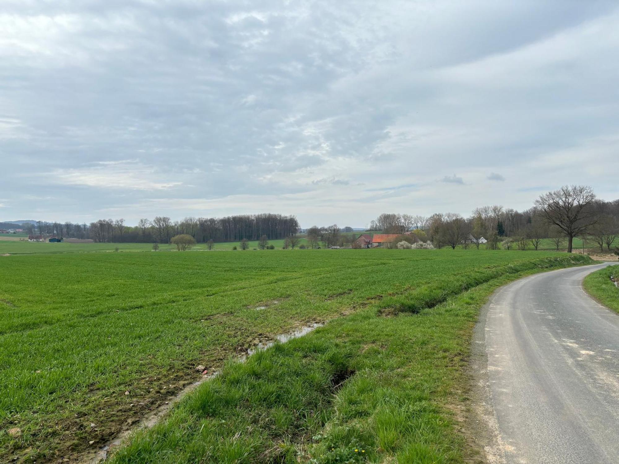 Scheunenwohnung In Der Natur ميله المظهر الخارجي الصورة